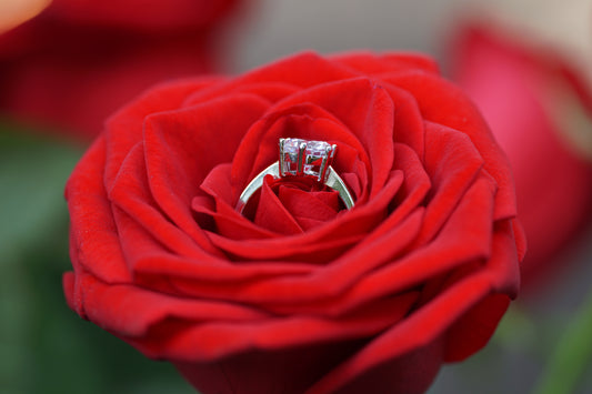 Arc de Triomphe Verlovingsring